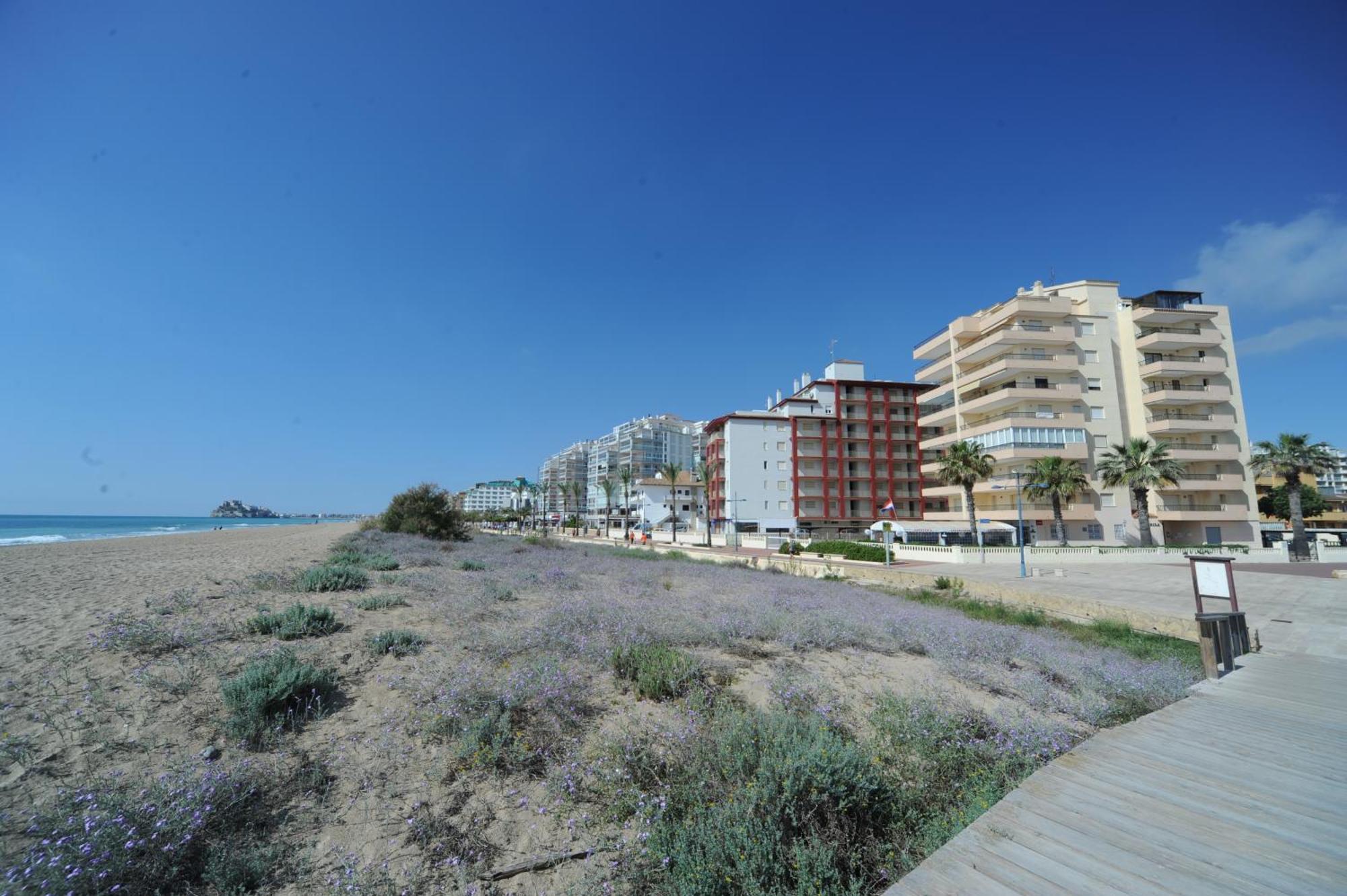 Marina Vistamar Orangecosta Appartement Peñíscola Buitenkant foto